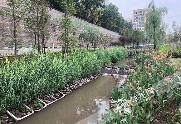 重慶河道管理?xiàng)l例執(zhí)行情況如何？市人大常委會(huì)執(zhí)法檢查組深入五區(qū)縣檢查