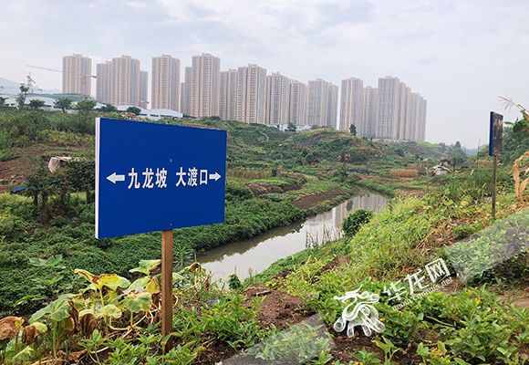 重慶河道管理?xiàng)l例執(zhí)行情況如何？市人大常委會(huì)執(zhí)法檢查組深入五區(qū)縣檢查