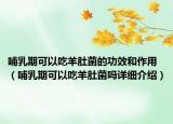 哺乳期可以吃羊肚菌的功效和作用（哺乳期可以吃羊肚菌嗎詳細(xì)介紹）