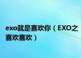 exo就是喜歡你（EXO之喜歡喜歡）
