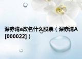 深赤灣a改名什么股票（深赤灣A[000022]）