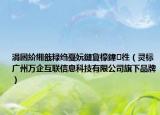 涓囦紒緗戠粶縐戞妧鏈夐檺鍏徃（靈標(biāo) 廣州萬企互聯(lián)信息科技有限公司旗下品牌）