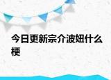 今日更新宗介波妞什么梗