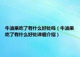 牛油果吃了有什么好處嗎（牛油果吃了有什么好處詳細介紹）