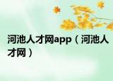 河池人才網(wǎng)app（河池人才網(wǎng)）