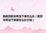 購(gòu)房貸款半年沒(méi)下來(lái)怎么辦（房貸半年沒(méi)下來(lái)要怎么辦介紹）