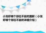 小龍蝦哪個部位不能吃圖解（小龍蝦哪個部位不能吃詳細(xì)介紹）