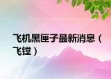 飛機(jī)黑匣子最新消息（飛鏜）