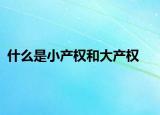 什么是小產(chǎn)權(quán)和大產(chǎn)權(quán)
