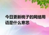 今日更新桃子的網(wǎng)絡(luò)用語是什么意思