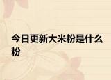 今日更新大米粉是什么粉