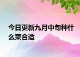 今日更新九月中旬種什么菜合適