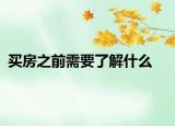 買(mǎi)房之前需要了解什么