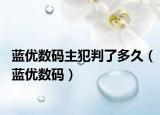 藍(lán)優(yōu)數(shù)碼主犯判了多久（藍(lán)優(yōu)數(shù)碼）