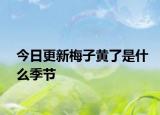 今日更新梅子黃了是什么季節(jié)