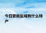 今日更新鹽城有什么特產(chǎn)