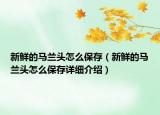 新鮮的馬蘭頭怎么保存（新鮮的馬蘭頭怎么保存詳細(xì)介紹）