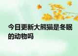 今日更新大熊貓是冬眠的動物嗎