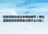舊房裝修應(yīng)該注意哪些細(xì)節(jié)（哪位清楚舊房裝修需要注意什么介紹）