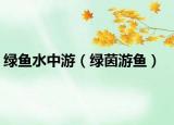 綠魚水中游（綠茵游魚）