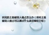 農(nóng)民的土地被別人侵占怎么辦（農(nóng)村土地被別人侵占可以通過什么途徑維權(quán)介紹）
