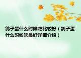 鴿子蛋什么時(shí)候吃比較好（鴿子蛋什么時(shí)候吃最好詳細(xì)介紹）