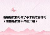 香椿是發(fā)物嗎做了手術(shù)能吃香椿嗎（香椿是發(fā)物不詳細介紹）