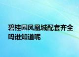碧桂園鳳凰城配套齊全嗎誰知道呢
