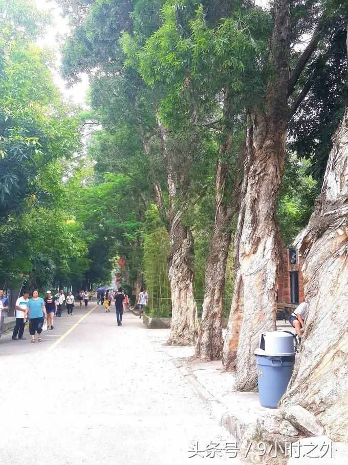 小聚廣州，紅磚廠一日游