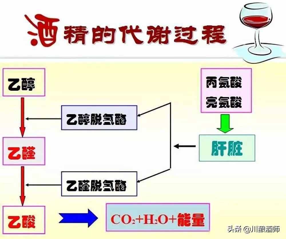 怎么能快速解酒？濃茶、蜂蜜都沒用！老酒民教你幾個有效的方法