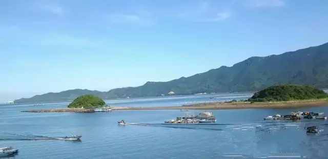 廣州周邊這5個小漁村，有吃不完的生猛海鮮，還藏著絕美海景