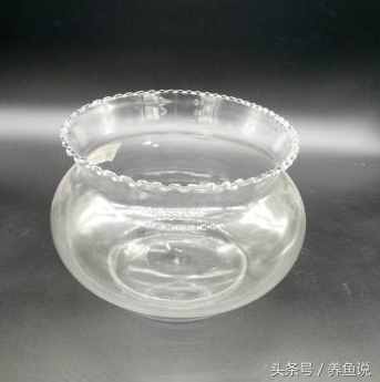 金魚(yú)怎么養(yǎng)？記住這3點(diǎn)即可，回歸最簡(jiǎn)單的養(yǎng)金魚(yú)方法