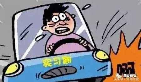 拿到駕照先別激動，“實習期”了解一下！
