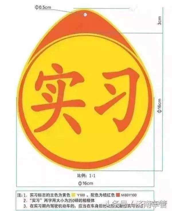 拿到駕照先別激動，“實習期”了解一下！