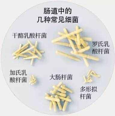 為什么放屁這么臭？當(dāng)心，很可能是這種病找上門了