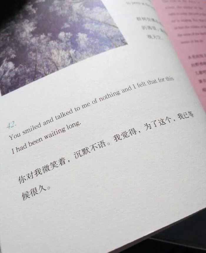 抖音上最火的短句子，唯美而文藝，總有一句說(shuō)進(jìn)你的心坎上！