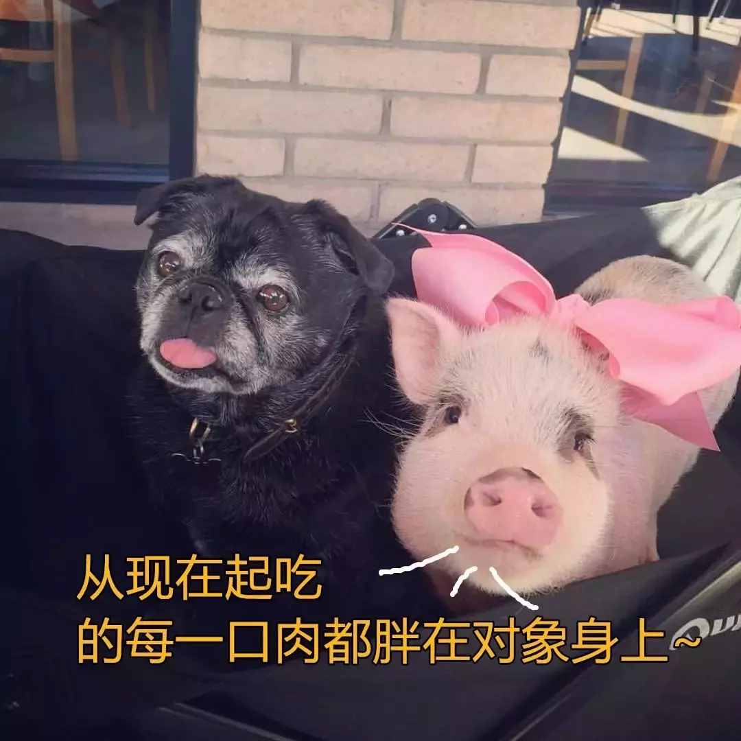 有這么一種性格的女生，叫“豬豬女孩”