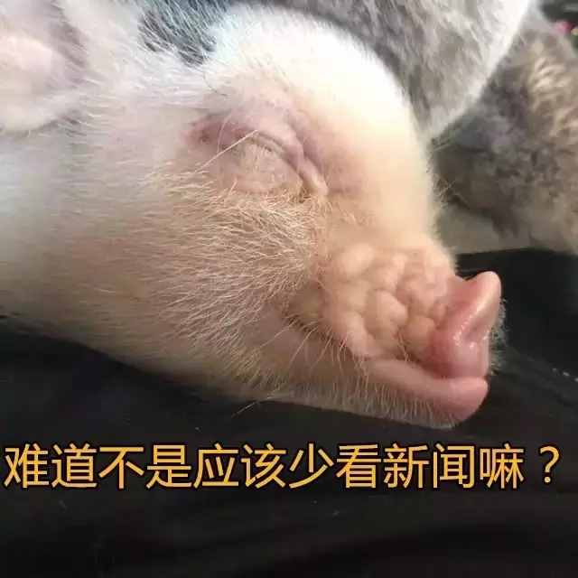 有這么一種性格的女生，叫“豬豬女孩”