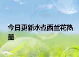 今日更新水煮西蘭花熱量