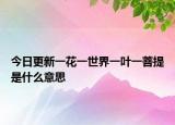 今日更新一花一世界一葉一菩提是什么意思
