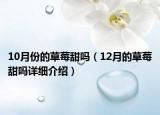 10月份的草莓甜嗎（12月的草莓甜嗎詳細介紹）