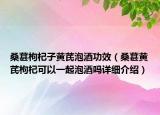 桑葚枸杞子黃芪泡酒功效（桑葚黃芪枸杞可以一起泡酒嗎詳細介紹）