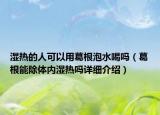 濕熱的人可以用葛根泡水喝嗎（葛根能除體內濕熱嗎詳細介紹）