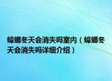 蟑螂冬天會(huì)消失嗎室內(nèi)（蟑螂冬天會(huì)消失嗎詳細(xì)介紹）