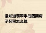 誰知道翡翠半島四期房子契稅怎么算