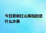 今日更新紅山果指的是什么水果