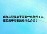 現(xiàn)在三亞買房子需要什么條件（三亞買房子需要注意什么介紹）