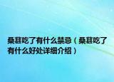 桑葚吃了有什么禁忌（桑葚吃了有什么好處詳細(xì)介紹）