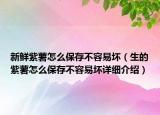 新鮮紫薯怎么保存不容易壞（生的紫薯怎么保存不容易壞詳細(xì)介紹）