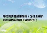感覺跑步腿越來越粗（為什么跑步跑的腿越來越粗了詳細(xì)介紹）